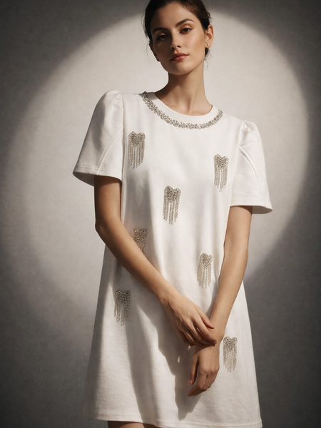 Embellished Mini Dress with Textured Detailing